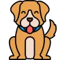 Dog Tarot