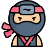 Finde den Ninja